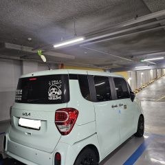 대구운전연수 진짜 추천해요 (20대 여자)