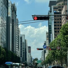 편의점 쇼핑은 혼자 다니는 게 진짜