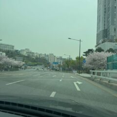 부천운전연수 첫 운전 성공기