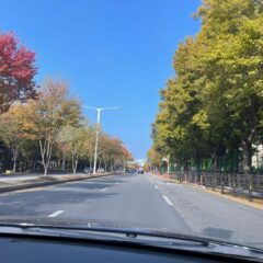 부천 지하주차장은 이제 두렵지 않아요