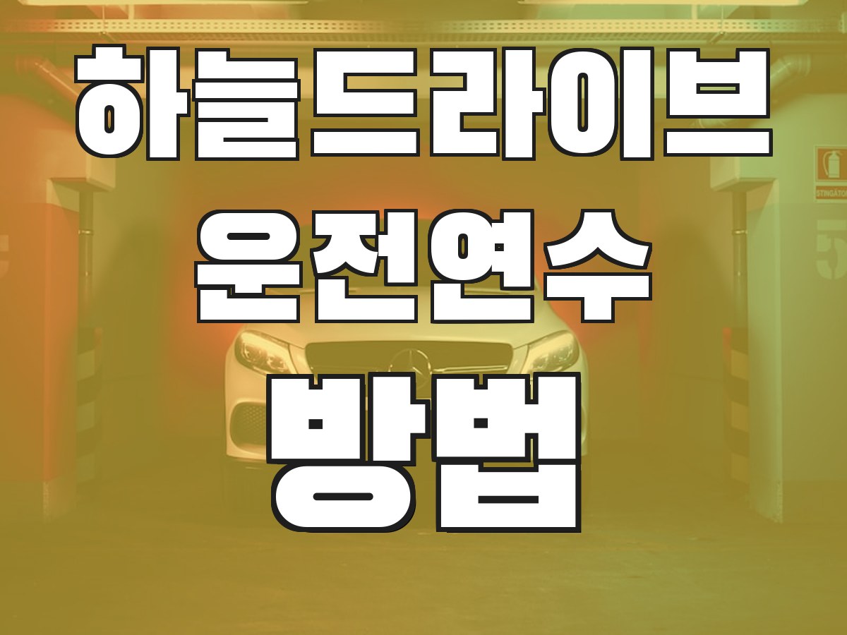 하늘드라이브 운전연수 방법 - 연수 진행 과정 안내