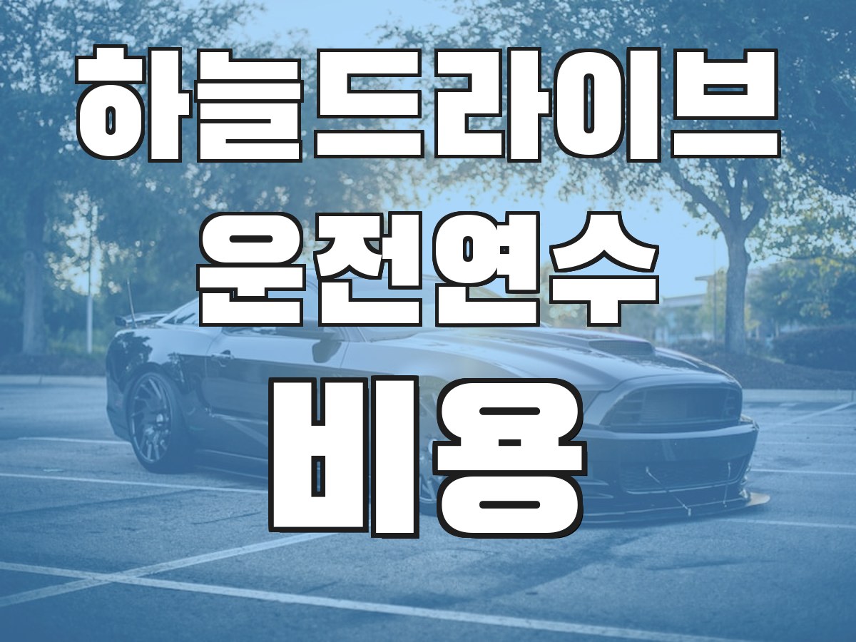하늘드라이브 운전연수 비용 - 연수 비용 안내