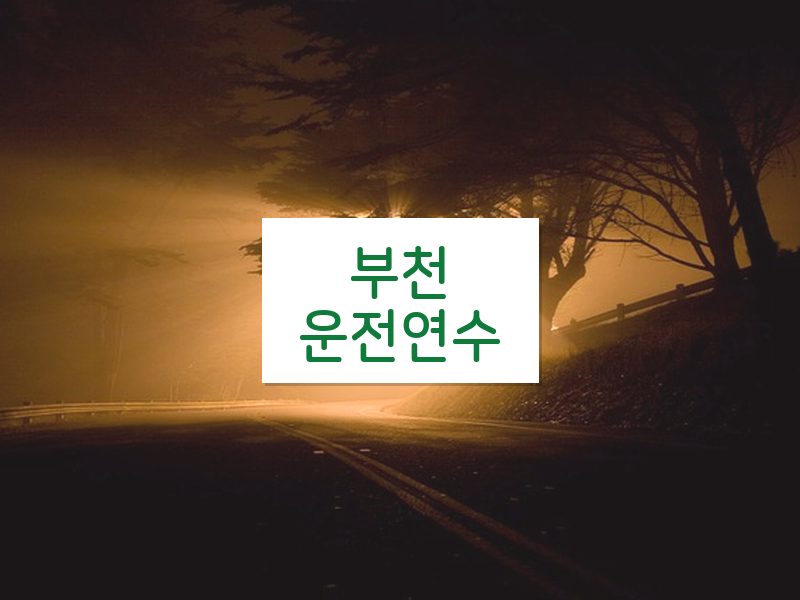 부천운전연수 후기