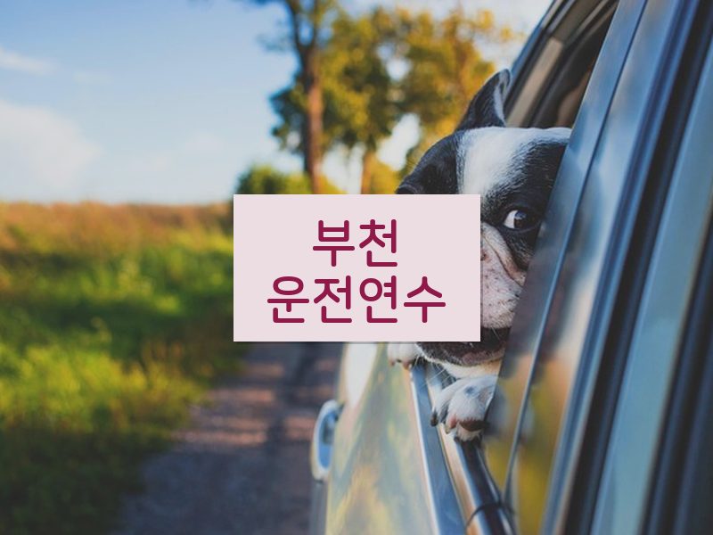 부천운전연수 후기