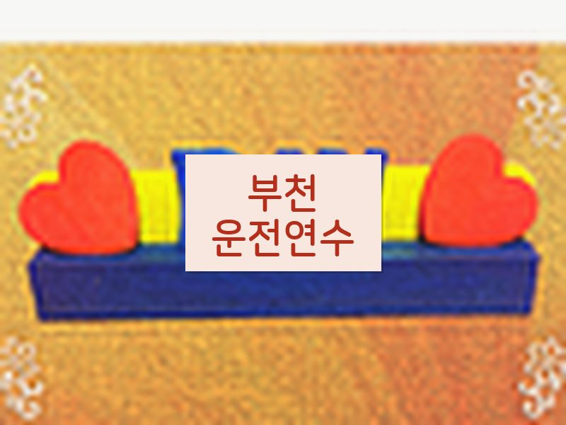 부천운전연수 후기